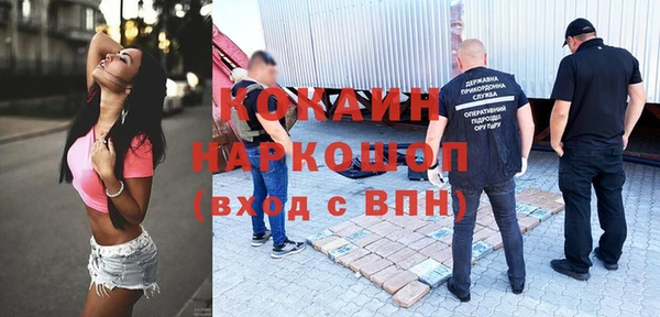 тгк Дмитриев
