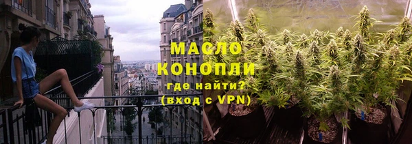 тгк Дмитриев
