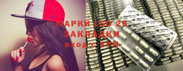 тгк Дмитриев