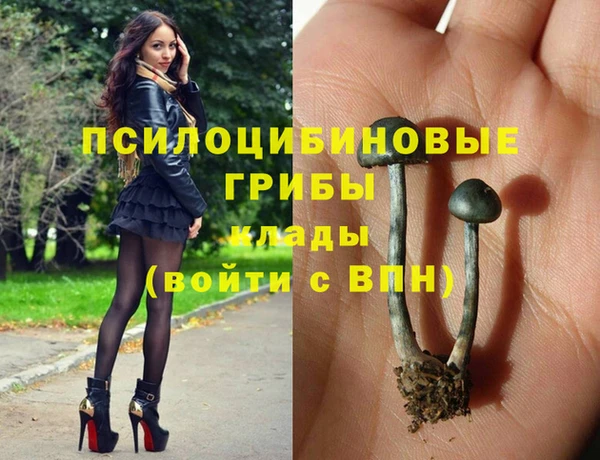 a pvp Дмитров