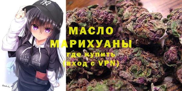 тгк Дмитриев