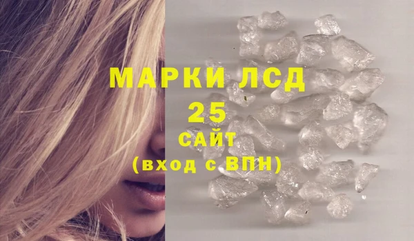 тгк Дмитриев