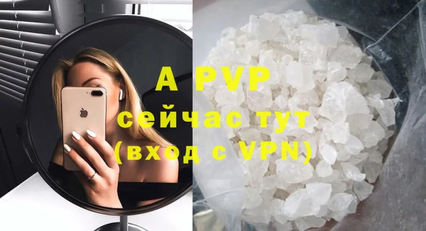 тгк Дмитриев