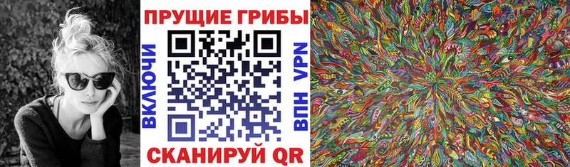 это состав  Олёкминск  Псилоцибиновые грибы мицелий 